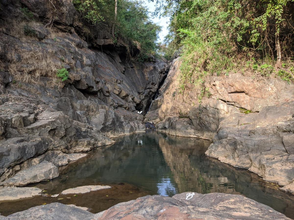 Riverbench Homestay Munnar, Anaviratty Bagian luar foto
