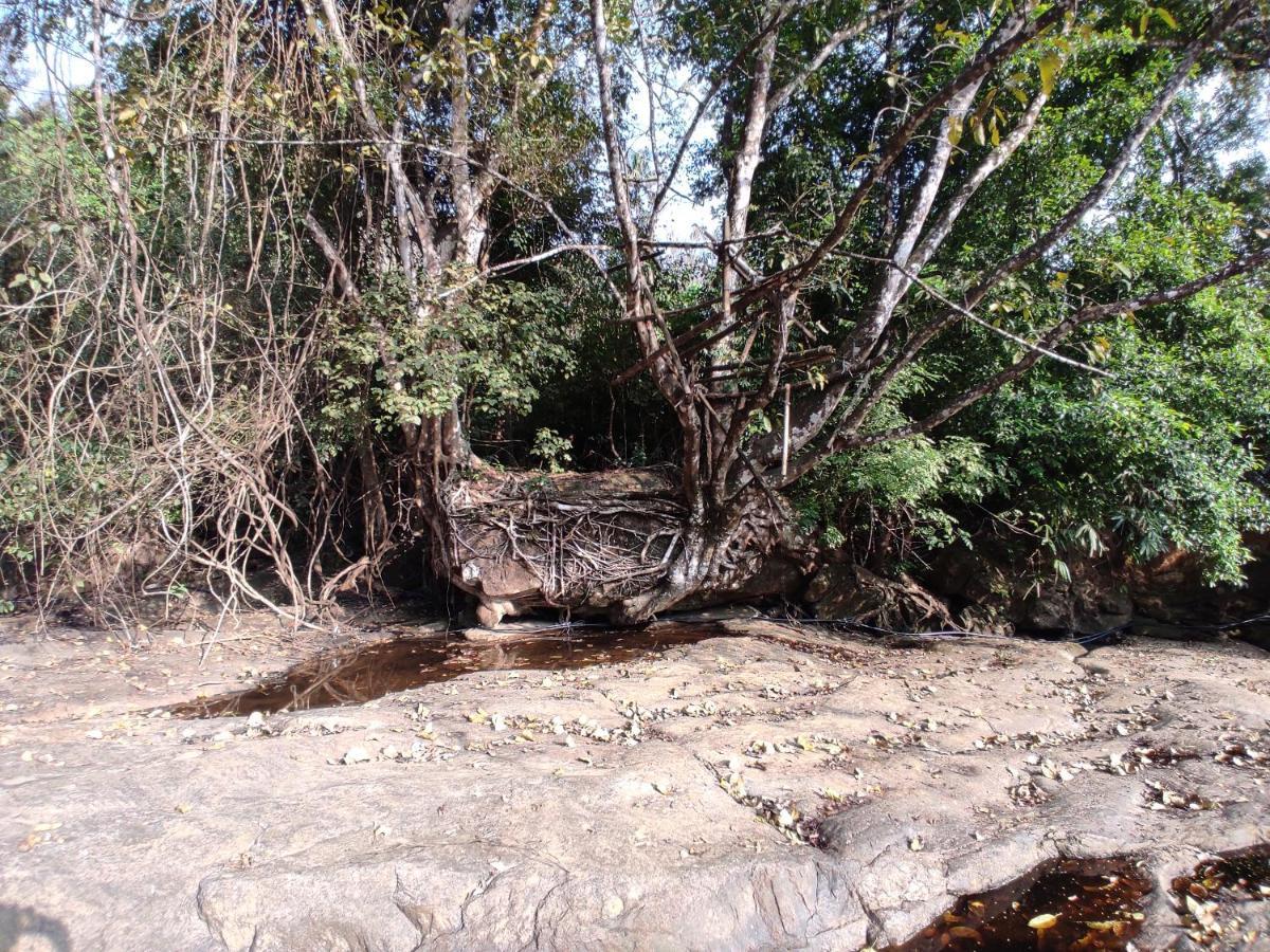 Riverbench Homestay Munnar, Anaviratty Bagian luar foto