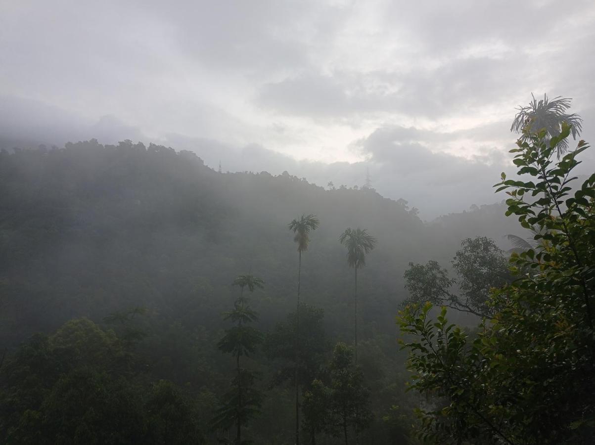 Riverbench Homestay Munnar, Anaviratty Bagian luar foto