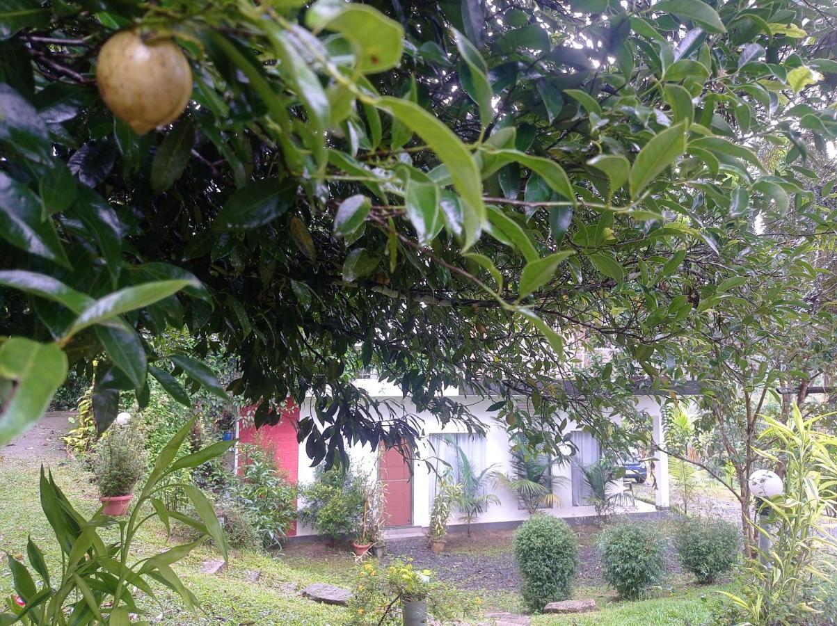 Riverbench Homestay Munnar, Anaviratty Bagian luar foto