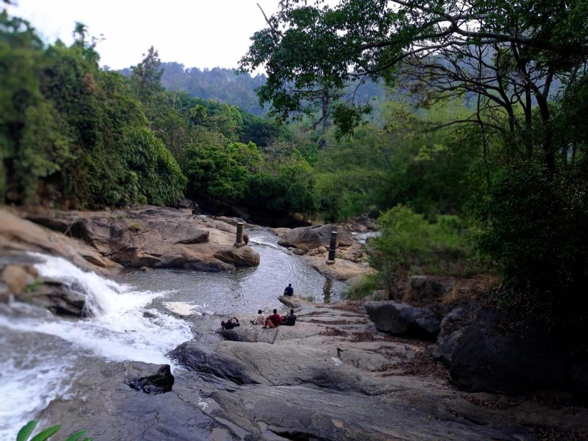 Riverbench Homestay Munnar, Anaviratty Bagian luar foto