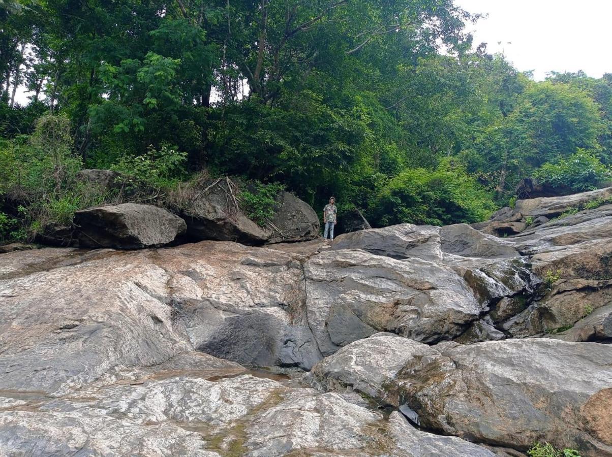 Riverbench Homestay Munnar, Anaviratty Bagian luar foto