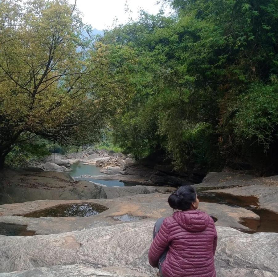 Riverbench Homestay Munnar, Anaviratty Bagian luar foto