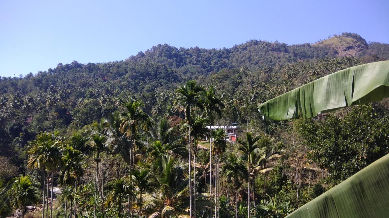 Riverbench Homestay Munnar, Anaviratty Bagian luar foto