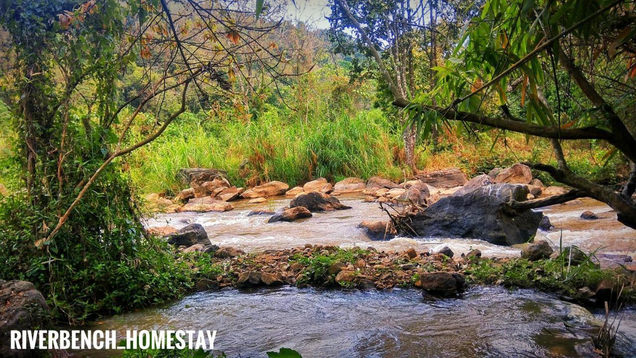 Riverbench Homestay Munnar, Anaviratty Bagian luar foto